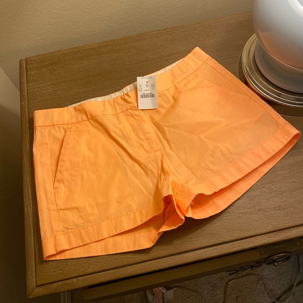 Bundle JCrew shorts